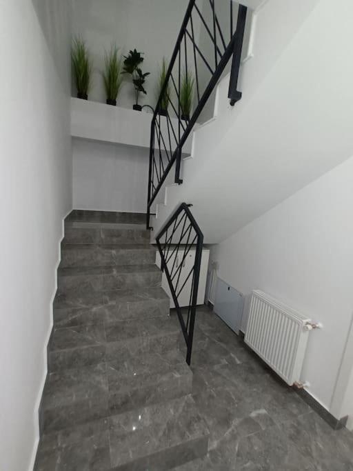 Old Town Studio 1 Apartment Nr 1 Baia Mare Extérieur photo