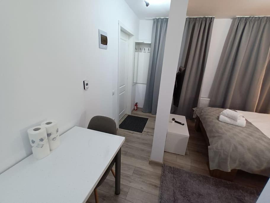 Old Town Studio 1 Apartment Nr 1 Baia Mare Extérieur photo
