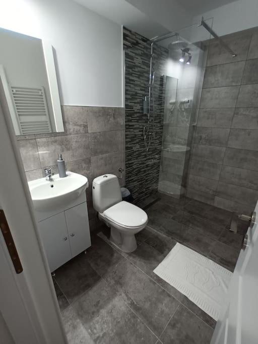Old Town Studio 1 Apartment Nr 1 Baia Mare Extérieur photo