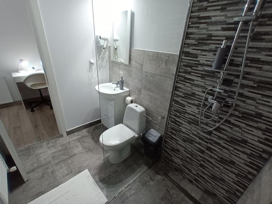 Old Town Studio 1 Apartment Nr 1 Baia Mare Extérieur photo